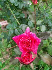 IMG20221012175629