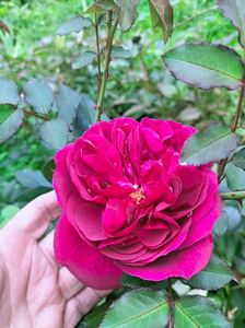 IMG20221012175442