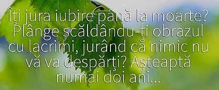 115145069_QQXHVRU3-1