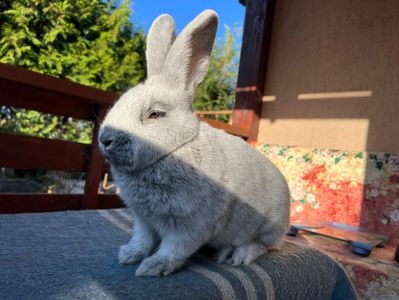 B1445441-8C97-4D8A-A688-D12F5880FDF9