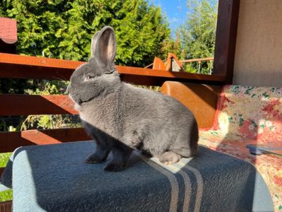 4FE38C5C-E526-4537-B36B-083FF88A94D0