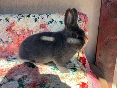 A7C39C30-EE96-4B6E-9F17-0D0535B79E04