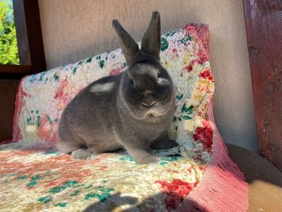 3EC0096A-E484-495E-9A5D-863A1313D7E6