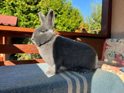 A250891B-C1FF-4401-A9A8-203BB69561BC