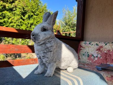 3597C486-516A-43A1-A6D9-D23B1A41A2BF