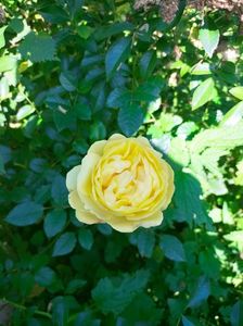IMG20221016115738