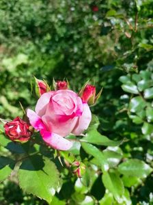IMG20221016115617