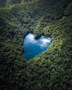 In cele din urma s-au asezat la masa. Dylan era schimbat, Julie l-a intrebat ce are , dar a ales sa; o ignore. Probabil a vazut mesajele pe care Julie i le-a trimis lui Giselle.
