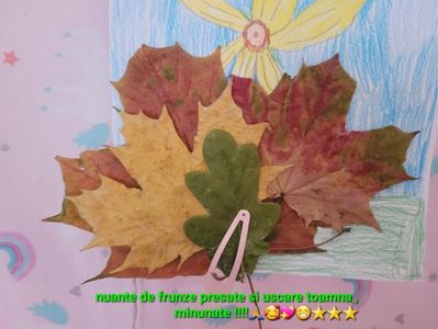 Frunze toamna 