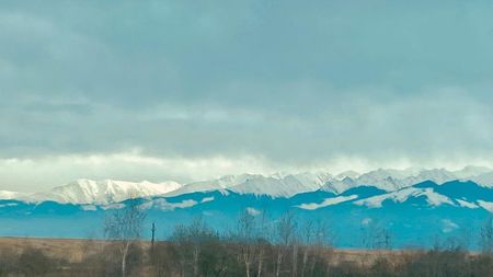 IMG-20220217-WA0005