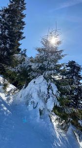 IMG-20220219-WA0048
