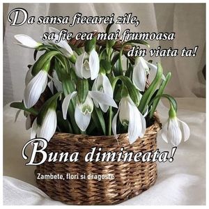 IMG-20220224-WA0000