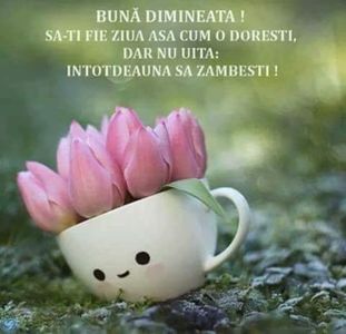 IMG-20220225-WA0001