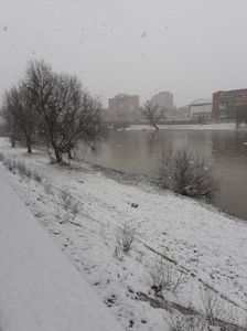 IMG-20220228-WA0007