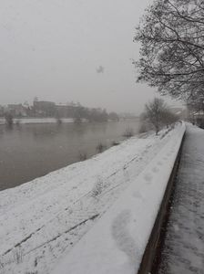 IMG-20220228-WA0008