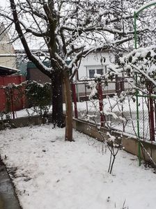IMG-20220228-WA0010
