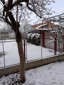 IMG-20220310-WA0003