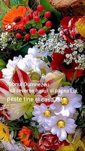 IMG-20220313-WA0002