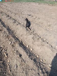IMG-20220331-WA0023