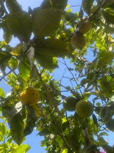 IMG-20220430-WA0024