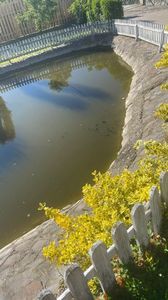 IMG-20220520-WA0010