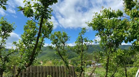 IMG-20220522-WA0011