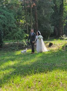 IMG-20220827-WA0015