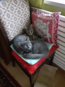 IMG-20220905-WA0006