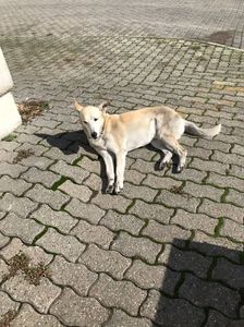 IMG-20220923-WA0014