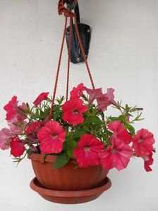IMG-20221001-WA0029