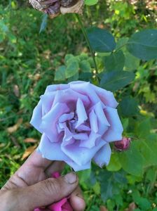 IMG20221021145740