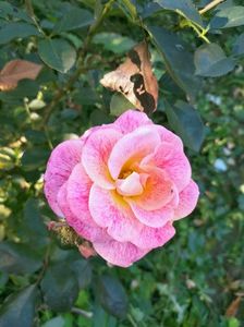 IMG20221021145715