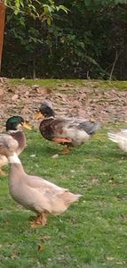 78bb86f3-e07a-4082-bfbc-87d2b43d9147photo