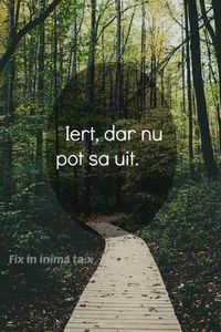 102642925_ALIMFQF3