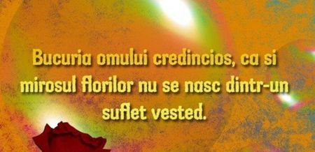 96978236_FOAXINW-1