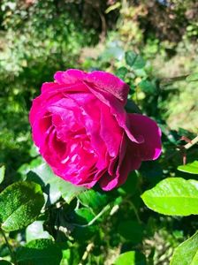 IMG20221026095545