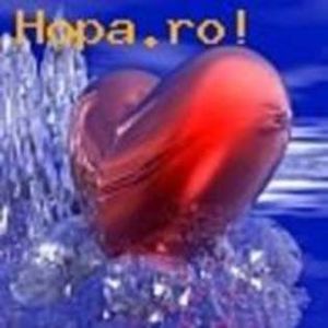 12372439_IFENLLOIN