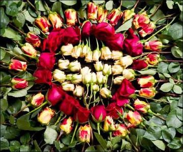 35432200_WLQFVDWVB