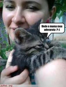 31689160_YXASWNZBW