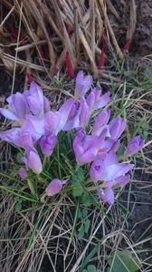 IMG-20210301-WA0010