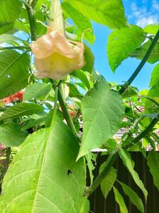IMG20221030112517