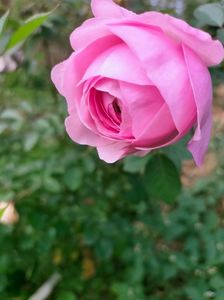 IMG20221030112220