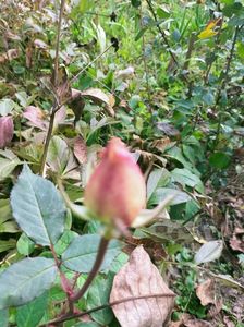 IMG20221030112058