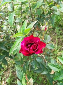 IMG20221030112015