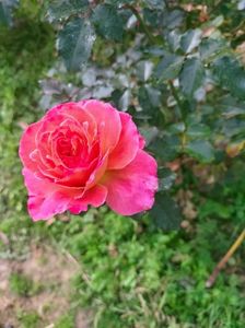 IMG20221030111050