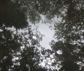 114655562_GXBYWXR3-1-1