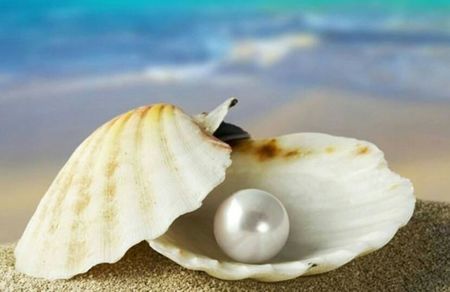 114193560_THZRYWA3-1-1