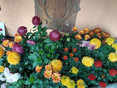 Img.2022.10.30