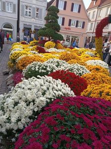Img.2022.10.30