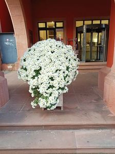 Img.2022.10.30